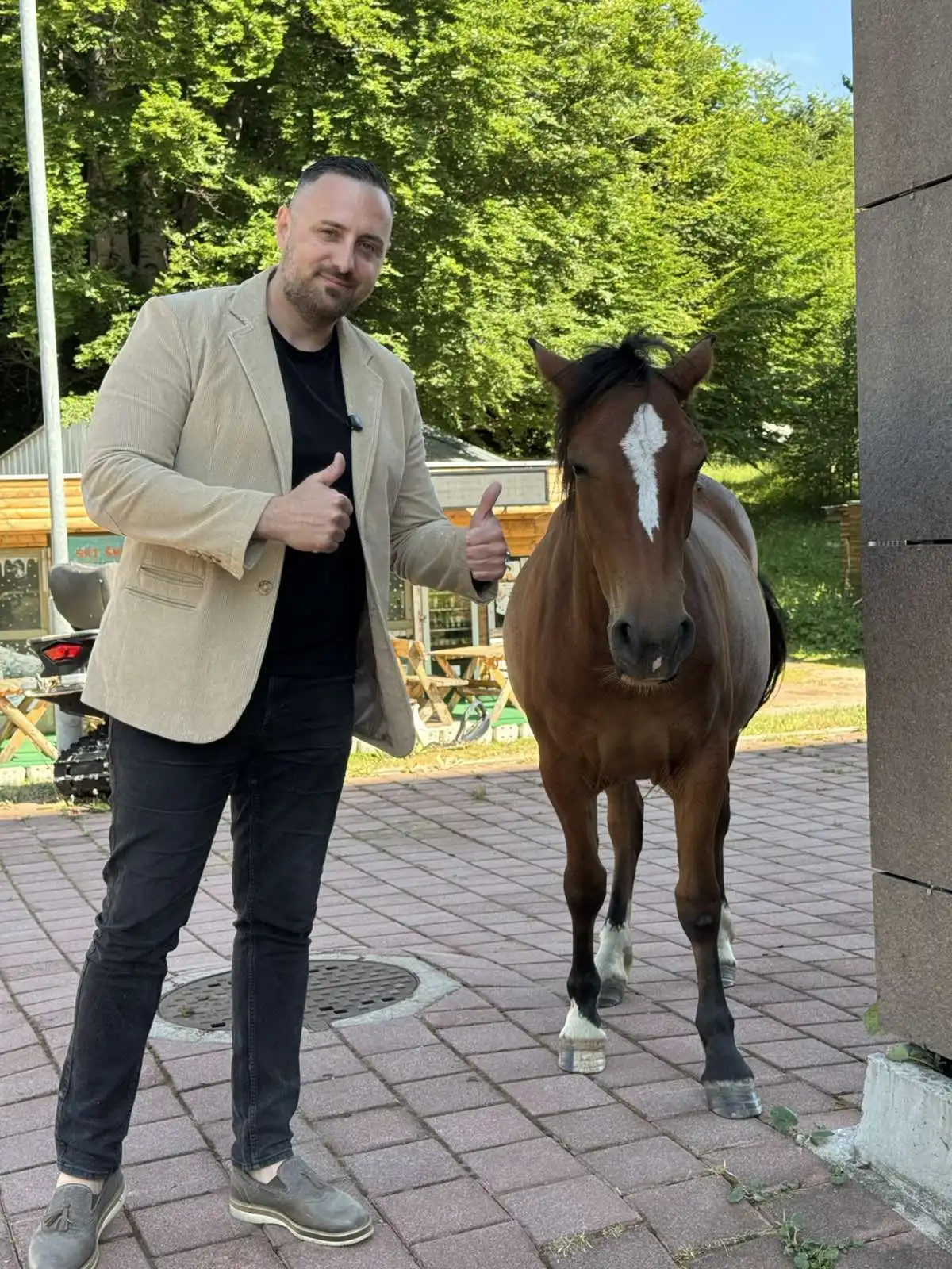 Snimanje TV emisije na Staroj planini, divlji konji