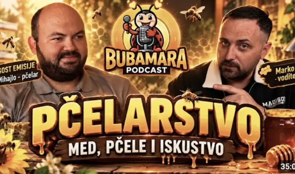 Podcast mihajlo stevanovic