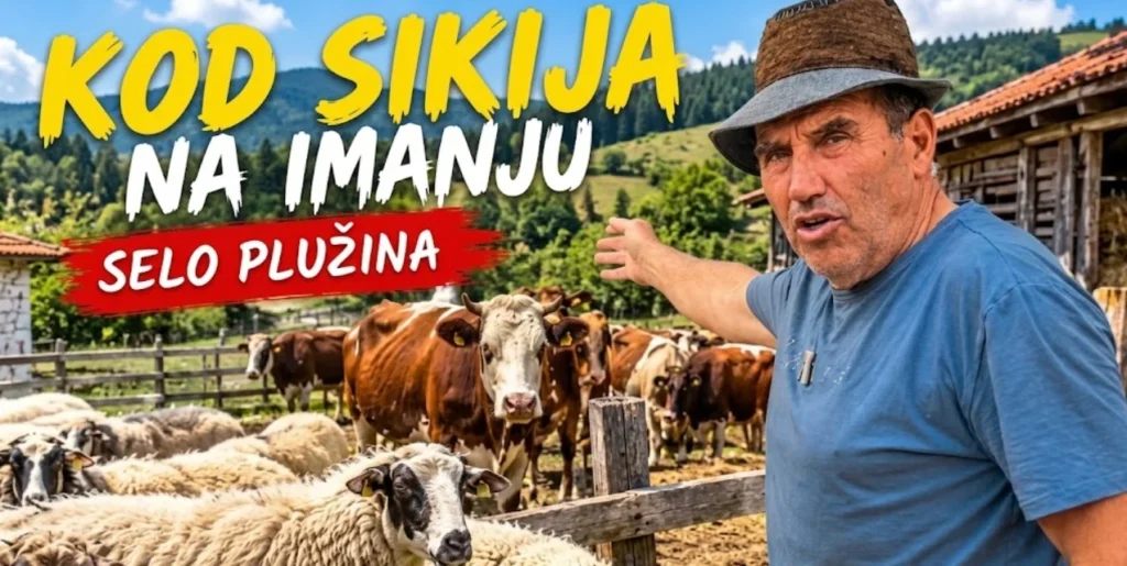 Siki pluzina